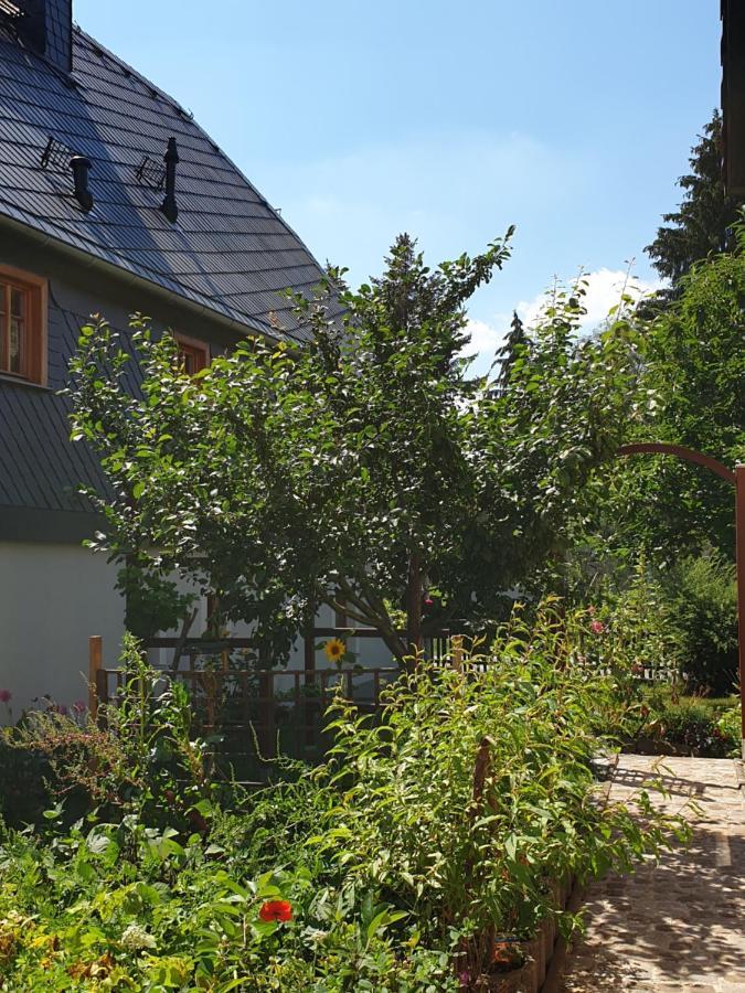 Oekologische Ferienwohnung Becker Kottmar Экстерьер фото